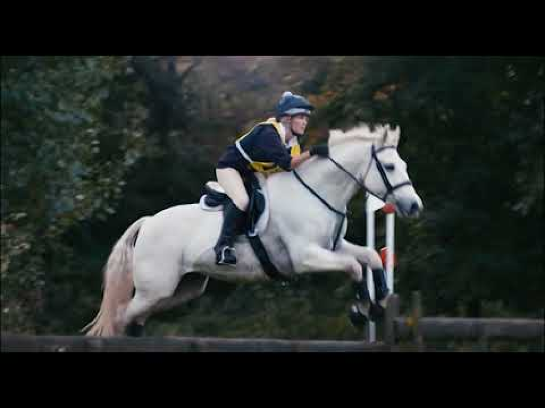 PMU DU 28 05 2018
