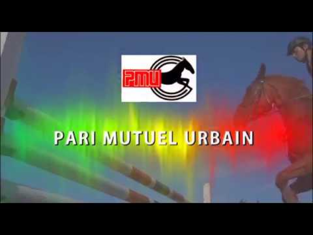 PMU DU 19 01 2019
